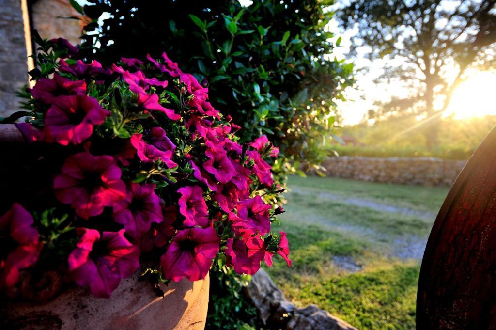 Agriturismo I Monti Semproniano Bilik gambar